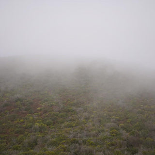 7 The Rainy Days in Lake District - Home Fragrance