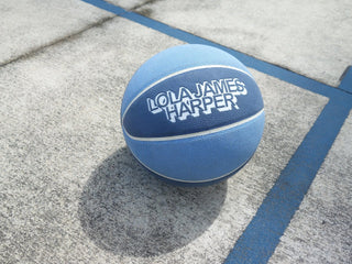 VeniceBall Basketball
